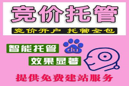 SEM运营公司案例：低成本高回报的秘诀